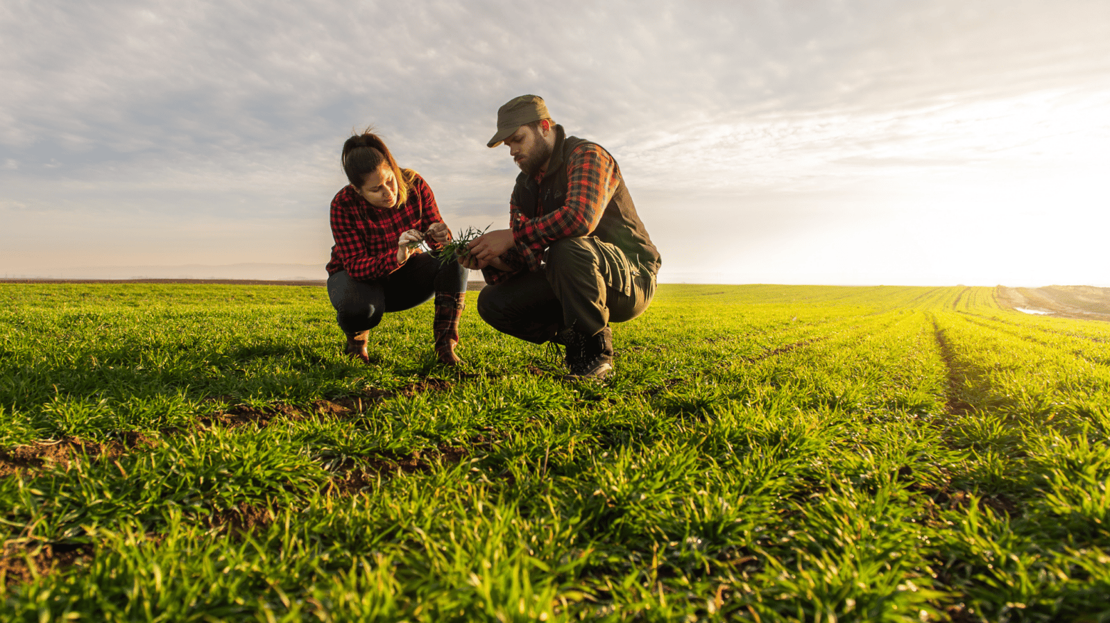 Image of two farmers in a field. 2h plans to reinvent food supply chains using blockchain, smart-tagging and bespoke technology to underpin its solution.