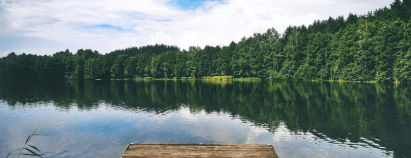 Image of dock facing lake and trees